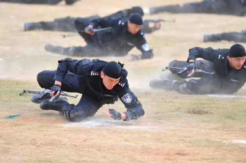 匍匐前进的意思惊天动地的意思，匍匐前进的意思和造句
