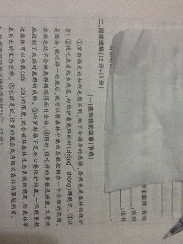 窈窕的拼音怎么读，窈窕淑女的拼音