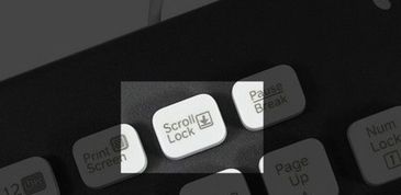lock是什么意思