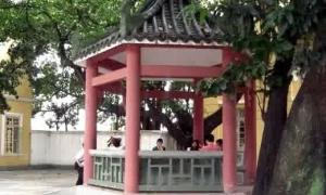 书院二小松古诗翻译，书院二小松哪两个词写出了二小松小的特点