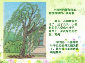 小枣树与小柳树的道理