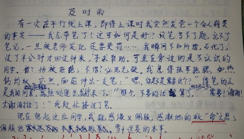 及时雨作文300字
