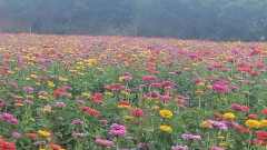 火、炎、焱、燚 怎么念﹖