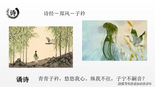 对诗经子衿这首诗的理解