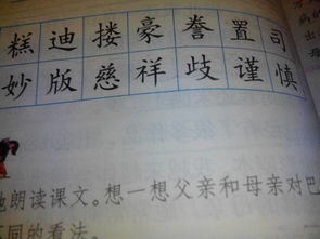 详的组词是什么和拼音，详的组词有