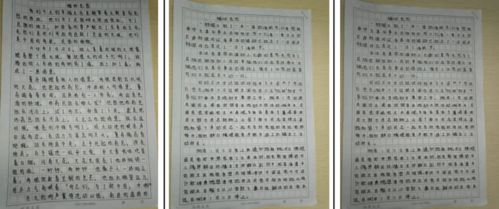 清明缅怀先烈作文