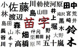 含“姓”的成语
