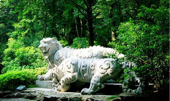 虎跑梦泉景点介绍门票信息