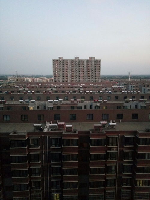 陕西省咸阳市礼泉县天气预报一个月，陕西省咸阳市礼泉县天气十五天