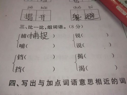 带领的同义词