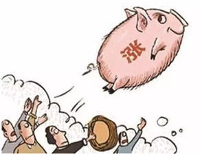 豆你玩蒜你狠姜你军，豆你玩经济学分析