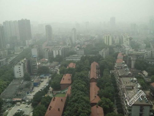 武汉洪山天气预报实时，天气预报武汉洪山天气