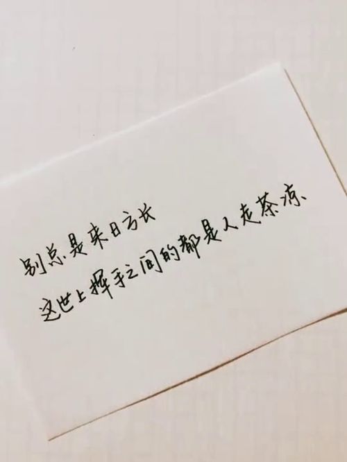 懂得珍惜的句子有哪些?