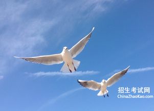 收拢的反义词收拢的反义词是什么