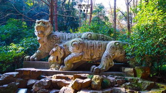 虎跑公园门票价格，虎跑公园开放时间