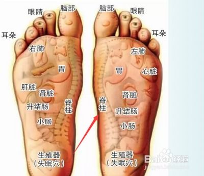 脚底板疼是怎么回事?原因、调理方法已列出,建议收藏下