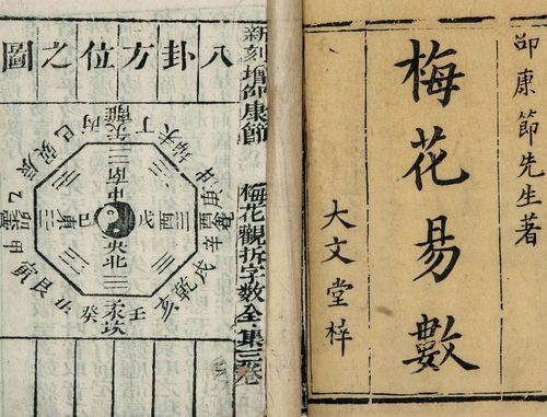 邵康节为什么杀邵雍