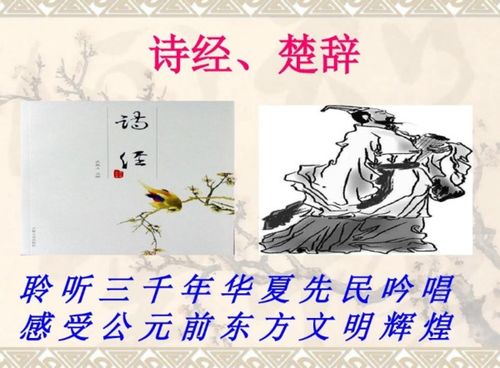诗的起源与发展是怎样的?