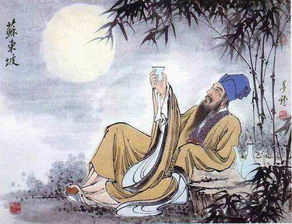 苏轼诗词《花影》原文译文赏析