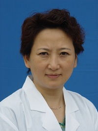 蓝青官话的解释