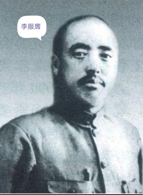 服膺是什么意思，服膺守善心无违,海能卑下众水归