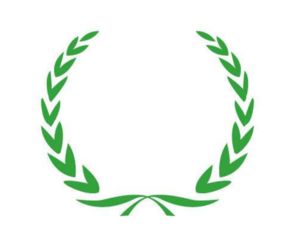 橄榄枝代表什么象征意义，联合国旗帜的橄榄枝代表什么
