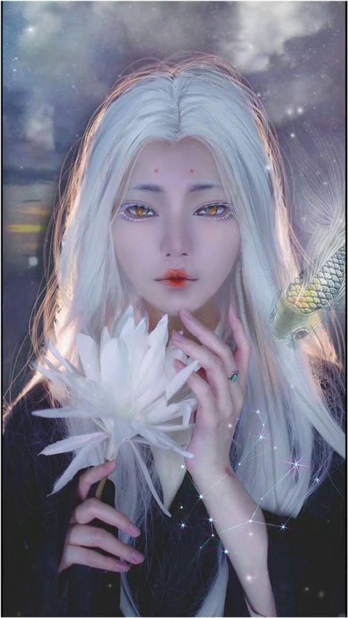 熙往作品算什么档次，熙往攘来的意思