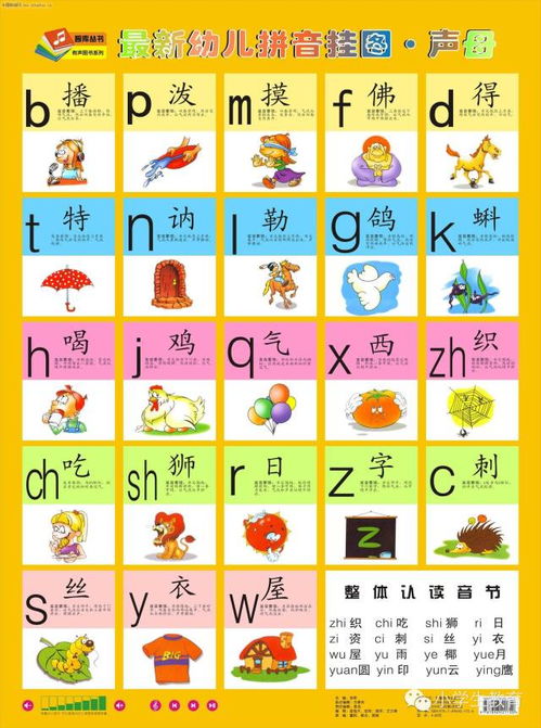 参与拼音怎么写，参与拼音怎么拼写