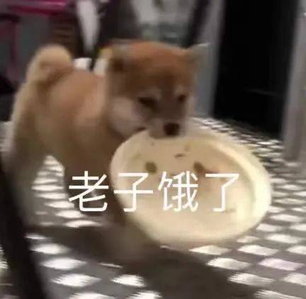 撒贝宁合照两米高篮球运动员,被夹C位像小孩,一脸生无可恋,你怎么看?