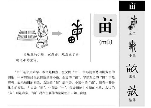 终可以组什么词语