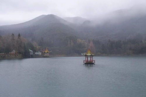 晚泊浔阳望庐山翻译，晚泊浔阳望庐山表达了作者怎样的思想感情