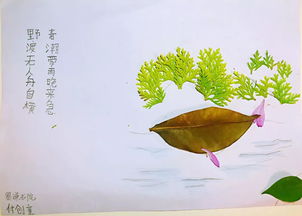 春潮带雨晚来急,野渡无人舟自横。原文_翻译及赏析