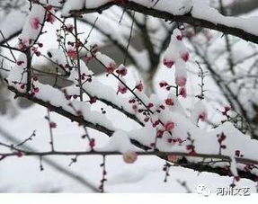 描写雪花的诗句古诗