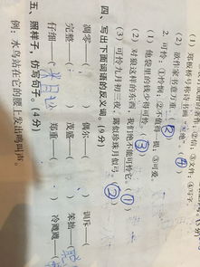 茂盛反义词是什么词，茂盛反义词近义词