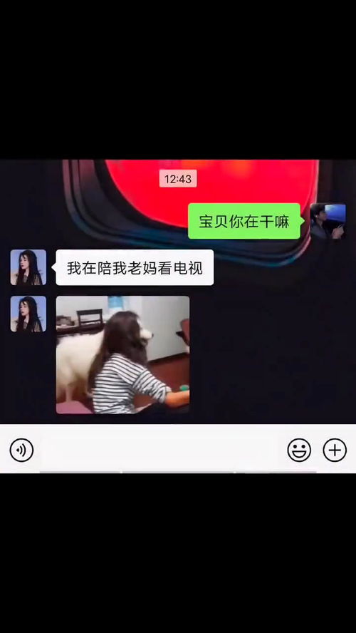 我要看电视剧，我要看电视人