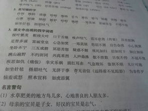 五个好词三个好句摘抄，五个好词两个好句