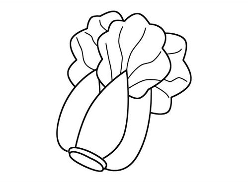 食物画法