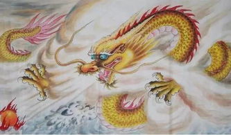 十二生肖中八面玲珑的动物是什么