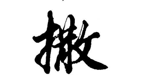 撒的 组词有什么?