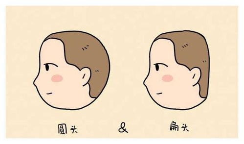 头扁的人会影响自身的智力吗?