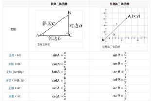 cot是什么意思?