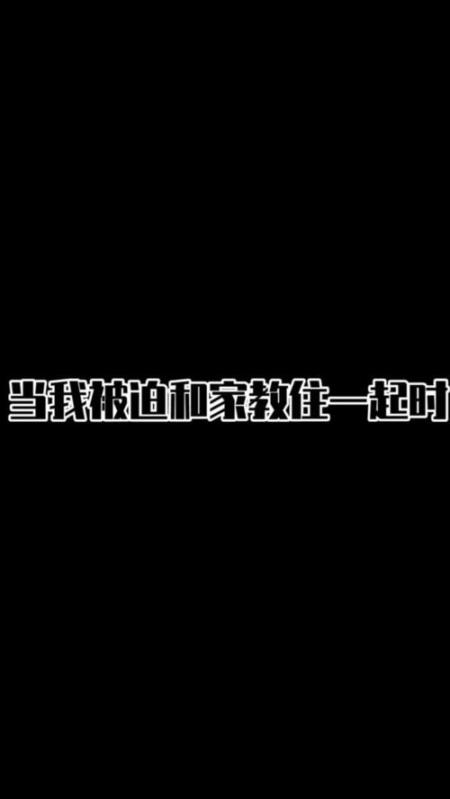 不需要可怜我,什么都不用说。是哪一首歌里的