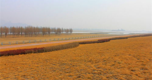 献县11月29日是什么天气