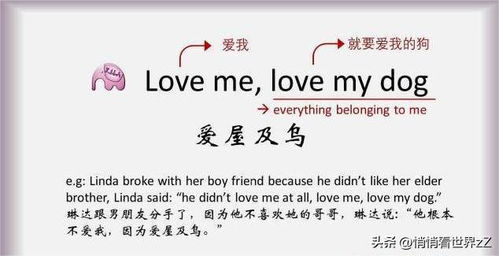 英语回复的英文