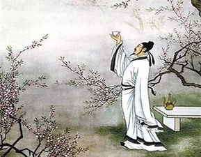 杜甫简介资料，诗人李白简介资料