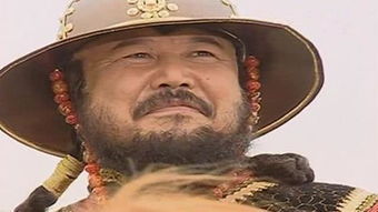“扩廓帖木儿,沈丘人”阅读