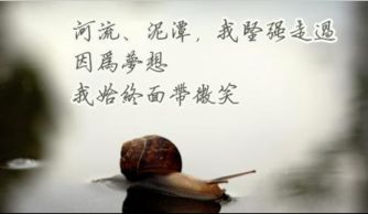 梦想的名言名句