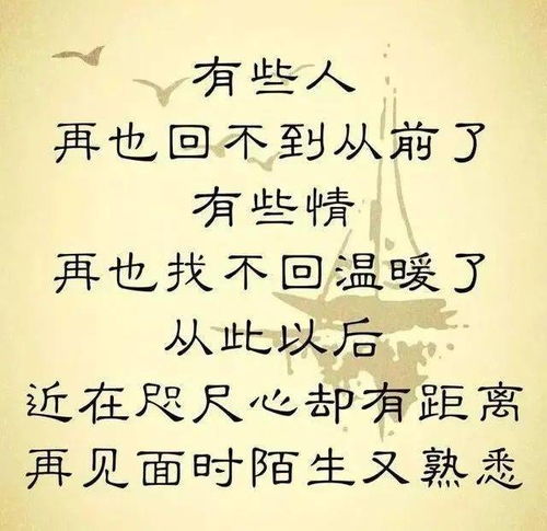 回不到过去的诗句，回不到过去的说说