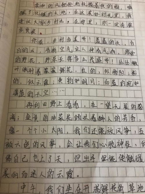 四年级下册语文作文
