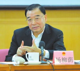 杨柳荫 2023，杨柳荫荫细雨晴